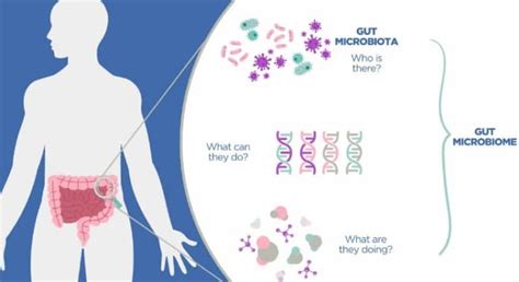  Ultrasomum: Sống Kí Sinh Trong Ruột Cá Và Khám Phá Thế Giới Vi Mô